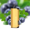 Alibarbar Ingot 9000 Puffs- Blueberry Mint 3 Alibarbar Ingot 9000 Puffs Blueberry Mint
