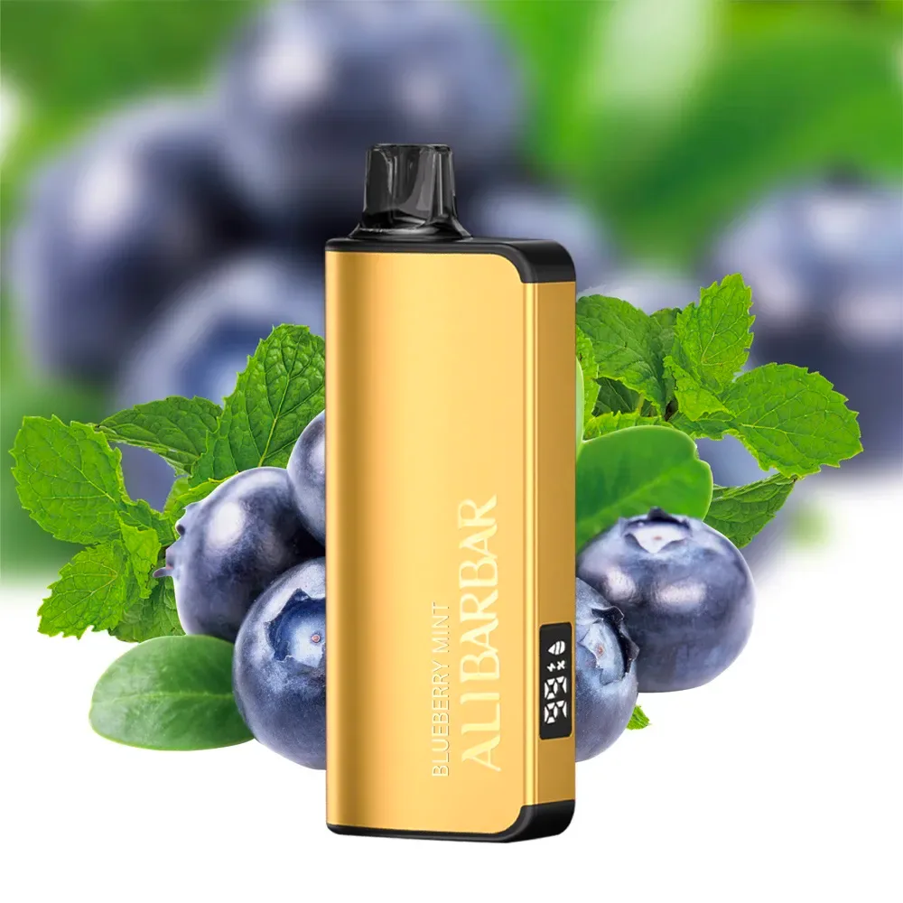 Alibarbar Ingot 9000 Puffs- Blueberry Mint 1 Alibarbar Ingot 9000 Puffs- Blueberry Mint