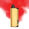 Alibarbar Ingot 9000 Puffs- FTP 3 Alibarbar Ingot 9000 Puffs FTP