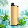 Alibarbar Ingot 9000 Puffs- Miami Mint 2 Alibarbar Ingot 9000 Puffs Miami Mint