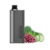 Swix Black cucumber grape cactus
