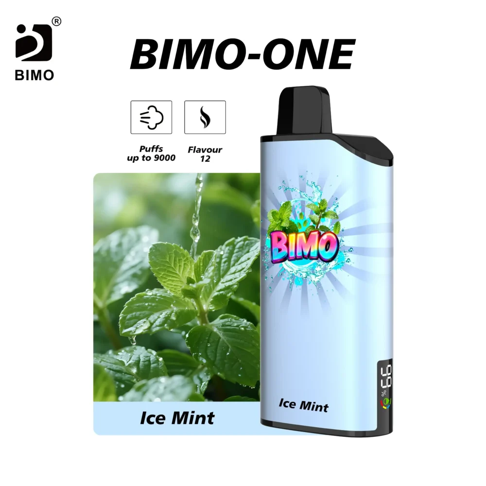 BIMO One 9000 puffs 24 BIMO One 9K-Ice Mint